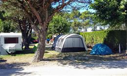 Camping Locmariaquer Des emplacements semi ombragés au camping de la Tour